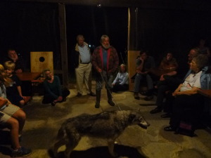 Special event: Wolf Man who owns 4 wolves introduces this highly tame wolf to guests at the Ranch. A big hit with everyone!