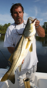 Captain Joe Massaro from Stuart, FL. shows off a canal caught snook he photo'd and released.