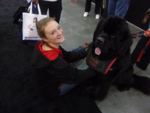Newfoundland 185-pounds of love and sweetness. They both found love!