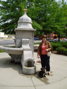 Roanoke people and pet fountain!!