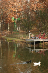 My pond in TN. and our windmill