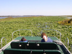 A view from the bow of an airboat. My grandson, Josh loved this trip! He saw lots of gators and even wild pigs when we got near shore.