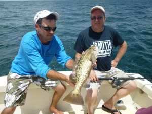 Gorgeous grouper surprised us in Paradise, all day long!