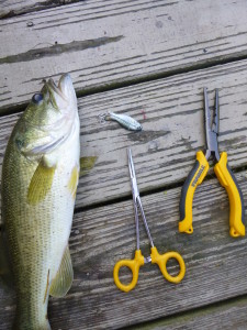 Always like great fishing tools and Frabill makes excellent fishing pliers and forceps to help preserve the fingers and the fish when unhooking them!
