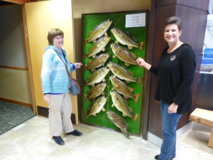 The display at the welcome Center shows various types of bass that are found in the TN. and Lake Pickwick.