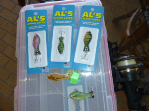 My favorite lures! Al's Goldfish and their new Living Lures are hooking and holding our backyard neighbors.