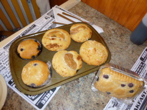 Muffins non pariel (no peer) with coconut, apple, blueberries, etc.