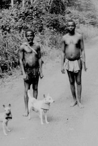 First Pygmies we saw on our trip through the Ituri Rain Forest, in the Congo! The dogs wooden clacker bells scared snakes away from the path, ahead of the men. Also the men could keep track of the dogs as they ran through the forest. These dogs did not bark!!