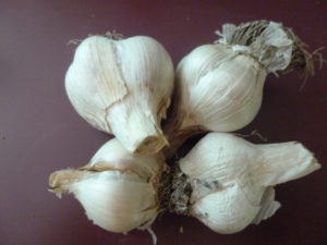 Garlic a world of goodness!