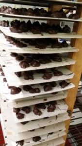 Rows and rows of chocolates!